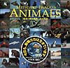 Mitsuaki　Iwago’s　animals特装版