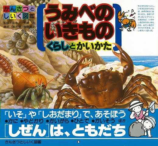 【バーゲン本】かんさつとしいく図鑑5 うみべのいきも　くらしとかいかた