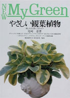 やさしい観葉植物