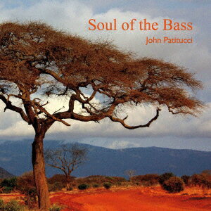 Soul of the Bass