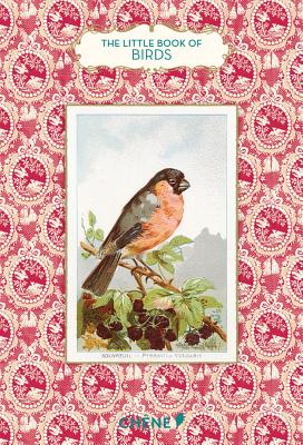 LITTLE BOOK OF BIRDS,THE(H) [ . ]