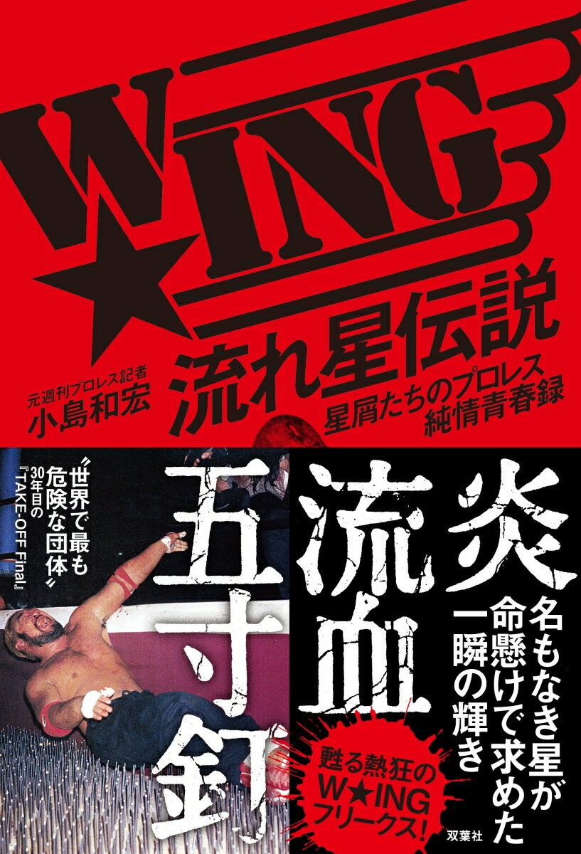 WINGꐯ`@̃vXt^ [ aG ]