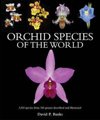 Orchid Species of the World: 3,333 Species from 343 Genera Described and Illustrated ORCHID SPECIES OF THE WORLD [ David P. Banks ]
