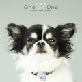 犬塚 愛 One on One Collaboration