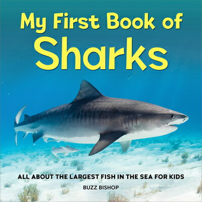 My First Book of Sharks: All about the Largest Fish in the Sea for Kids MY FBO SHARKS （My First Book of） [ Buzz Bishop ]