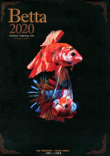 Betta（2020）