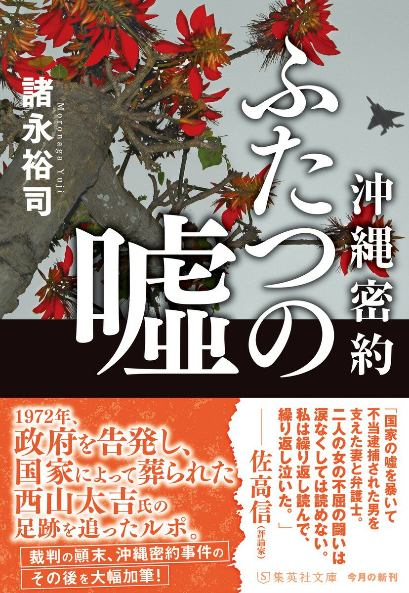 沖縄密約 ふたつの嘘 (集英社文庫(日本)) ...の紹介画像2