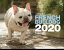 FRENCHBULLDOG2020 ʡΥϡˡפ򸫤