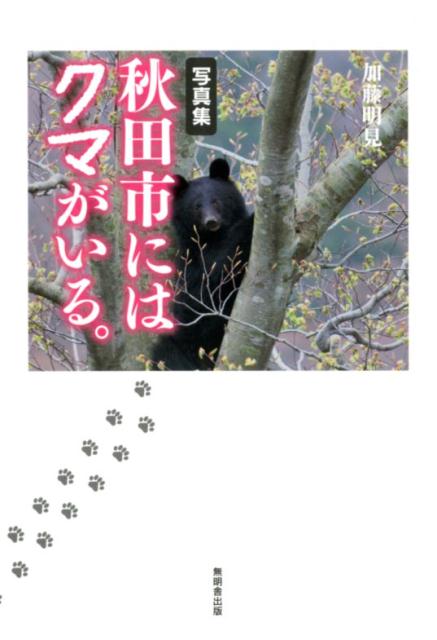 秋田市にはクマがいる。