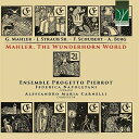 【輸入盤】『マーラー、不思議な角笛の世界』　アンサンブル・プロジェット・ピエロ [ オムニバス（室内楽） ]