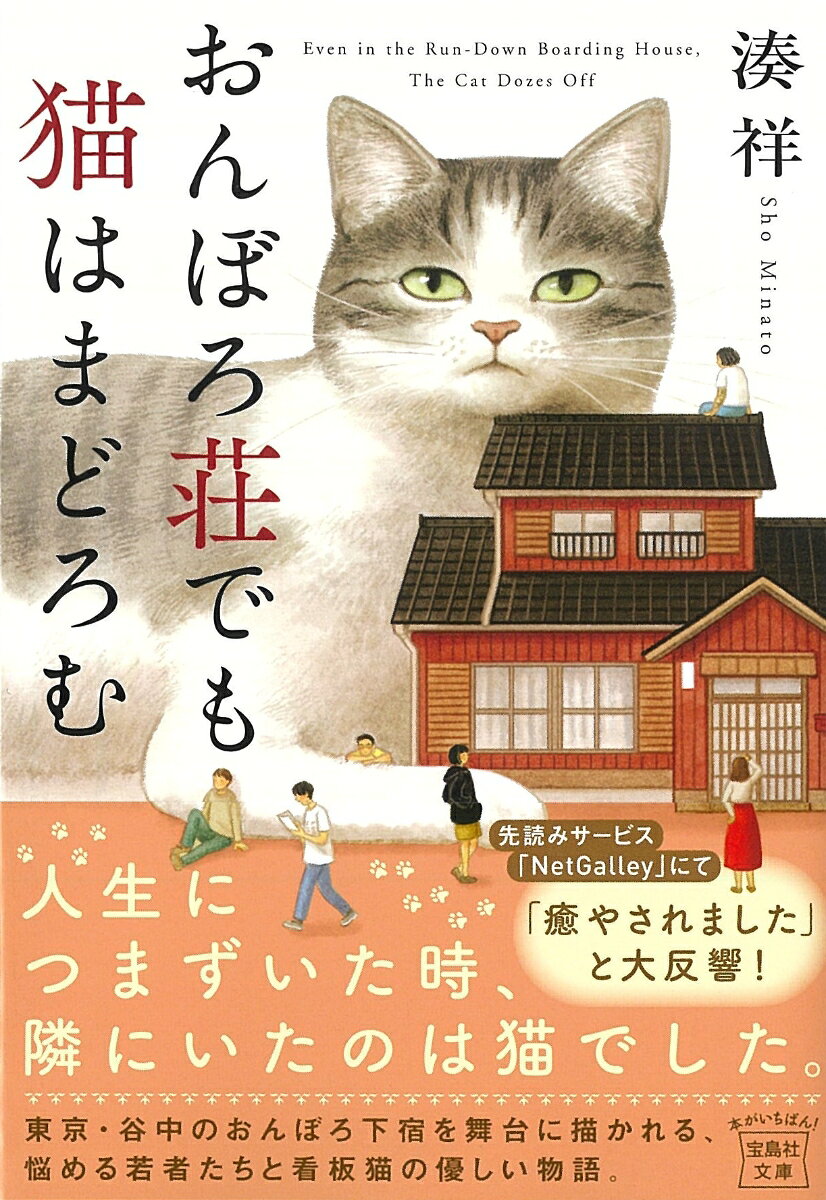おんぼろ荘でも猫はまどろむ