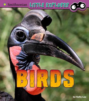 Birds: A 4D Book BIRDS （Little Zoologist） 
