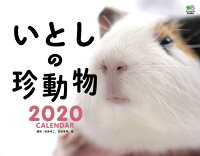 いとしの珍動物カレンダー（2020）