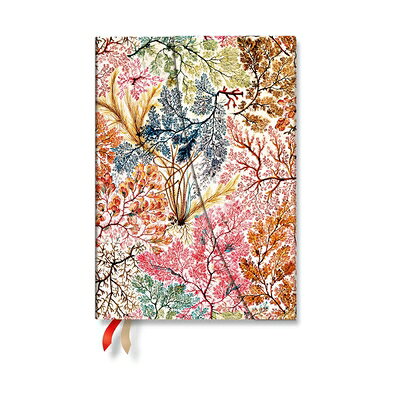 2027 Anemone MIDI Horizontal Hardcover 12-Month Weekly Planner, 160pg, 100gsm by Paperblanks (Willia 2027 ANEMONE MIDI HORIZONTAL H （William Kilburn） 