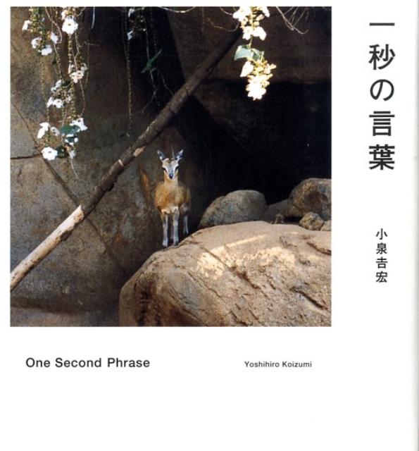 一秒の言葉