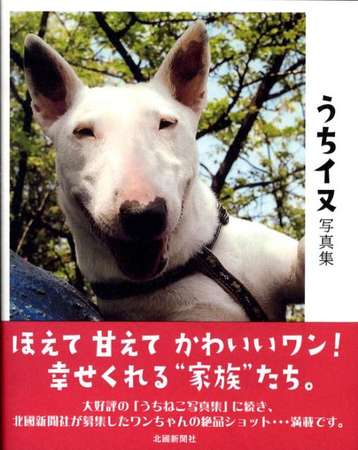 うちイヌ写真集