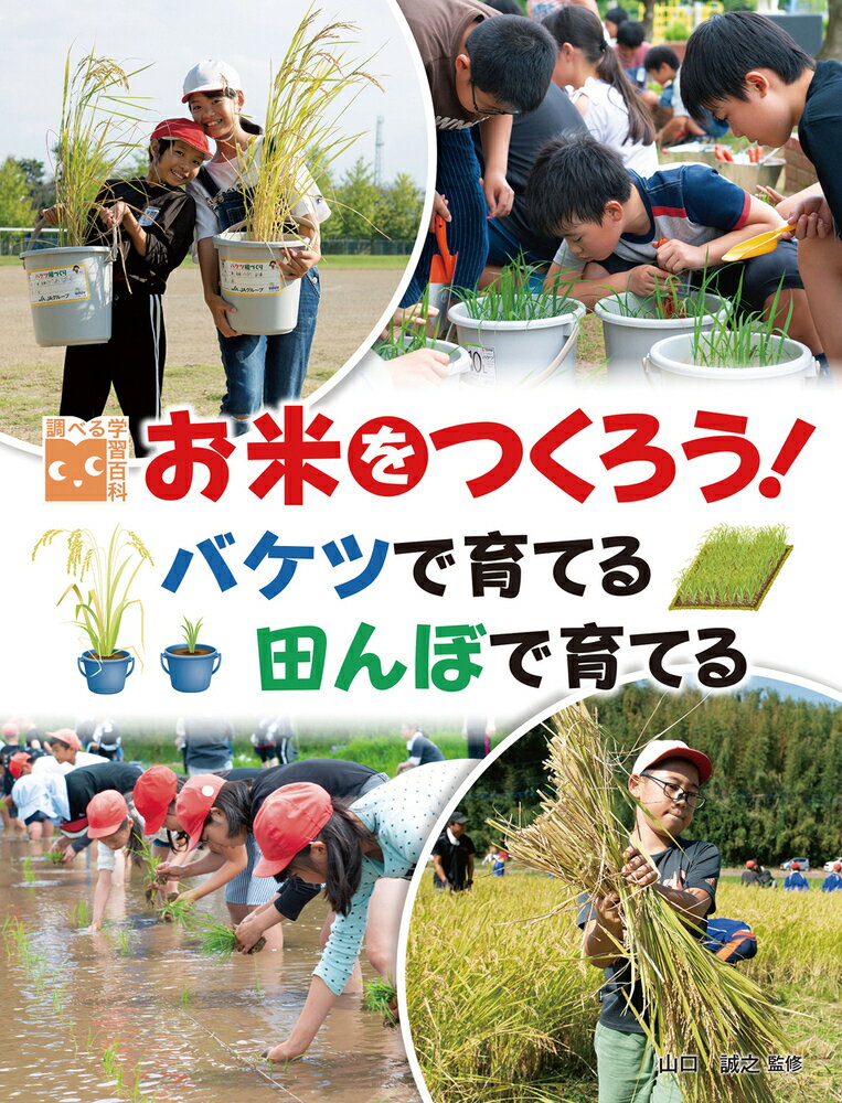 お米をつくろう！バケツで育てる　田んぼで育てる （調べる学習百科） [ 山口　誠之 ]