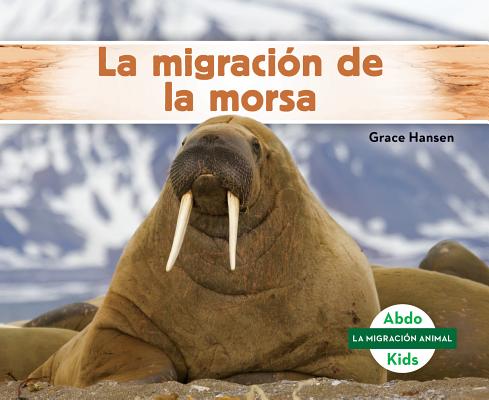 La Migracion de la Morsa (Walrus Migration) SPA-MIGRACION DE LA MORSA (WAL （La Migracion Animal Set 1 (Animal Migration)） 