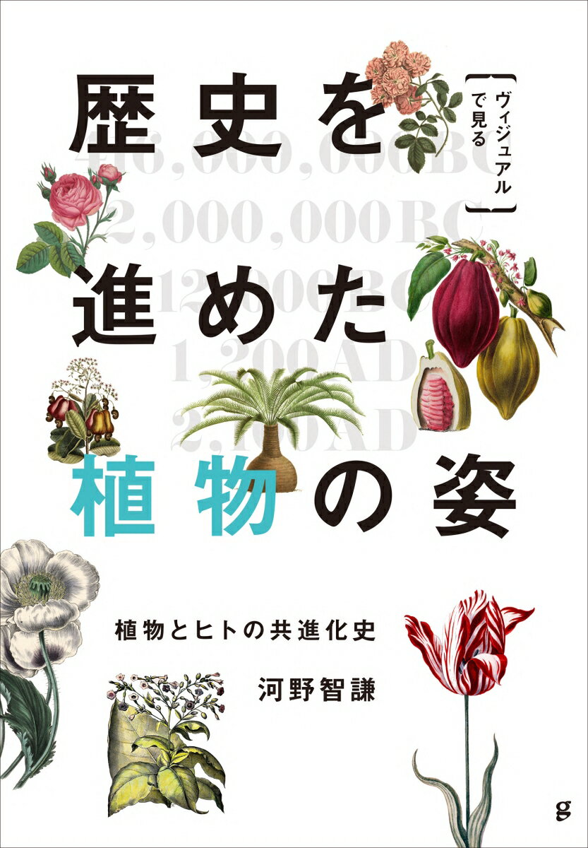 ヴィジュアルで見る 歴史を進めた植物の姿