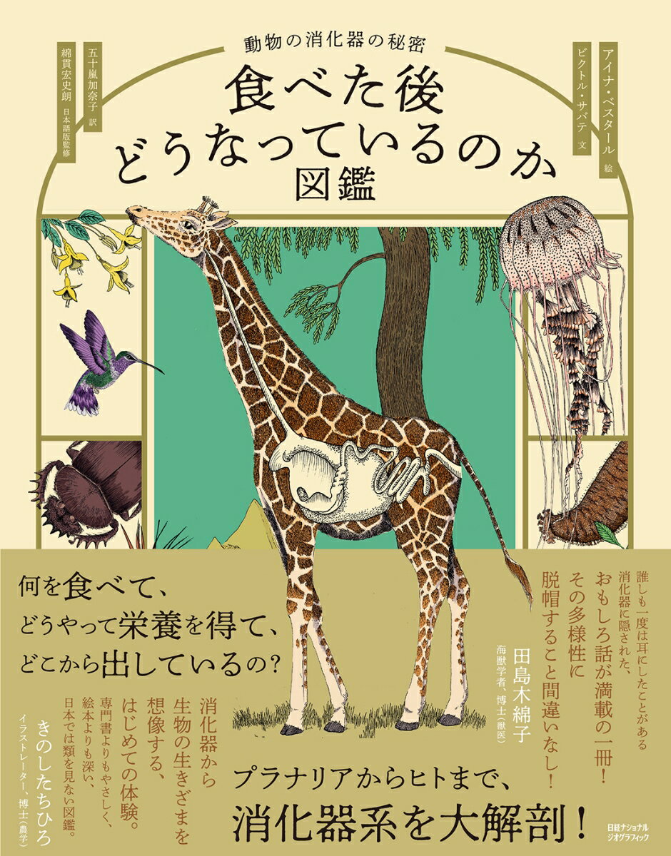 食べた後どうなっているのか図鑑　動物の消化器の秘密