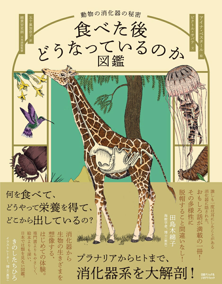 何を食べて、どうやって栄養を得て、どこから出しているのか？
動物が生きていくことに欠かせない「食べてから出すまで」を、美しいイラストで楽しく解説。

各動物の口、胃、腸、肛門などを図解。
学名や生態、主に食べるもの、いつ食べるのか、どうやって消化吸収するのか、その動物が何に食べられてしまうのか、そして消化器系トリビアまで紹介。

動物をより知るためにも、美しいイラストを眺めて楽しむにも、プレゼントにも最適です。
美しいイラストで科学や動物をより知ることができることで人気の、スペインのイラストレーターによるサイエンス絵解き。
世界9言語で出版。

【推薦いただきました】
生きるためのエネルギー獲得は体表から？　口から？
胃に複数の部屋がある？　一日14時間も食べ続ける？　肛門がない？
誰しも一度は耳にしたことがある消化器に隠された
おもしろ話が満載の一冊！
その多様性に脱帽すること間違いなし！
──田島木綿子さん（海獣学者、博士（獣医）、『海獣学者、クジラを解剖する。 海の哺乳類の死体が教えてくれること』著者）

消化器から生物の生きざまを想像する、はじめての体験。
専門書よりもやさしく、絵本よりも深い、日本では類を見ない図鑑。
──きのしたちひろさん（イラストレーター、博士（農学）、『ポケモン生態図鑑』イラスト、『最新研究で迫る 生き物の生態図鑑』著者）