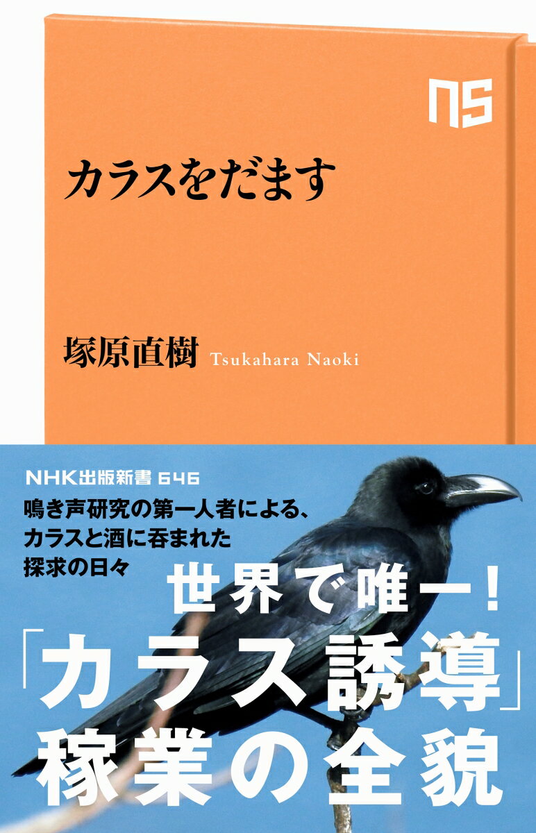 カラスをだます