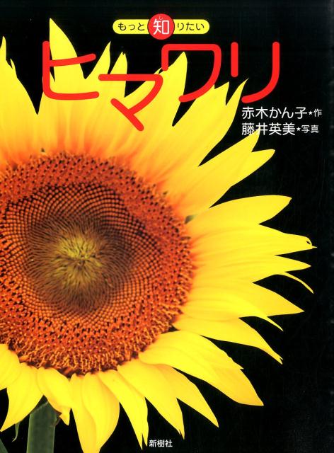 ヒマワリ