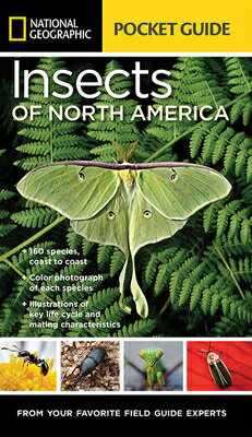 POCKET GD INSECTS OF NORTH AMERICA(P) NATIONAL GEOGRAPHIC