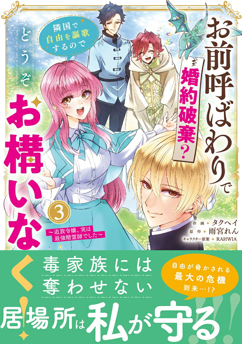 お前呼ばわりで婚約破棄？隣国で自由を謳歌するのでどうぞお構いなく！〜追放令嬢、実は最強精霊師でした〜　3