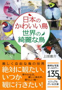 日本のかわいい鳥世界の綺麗な鳥