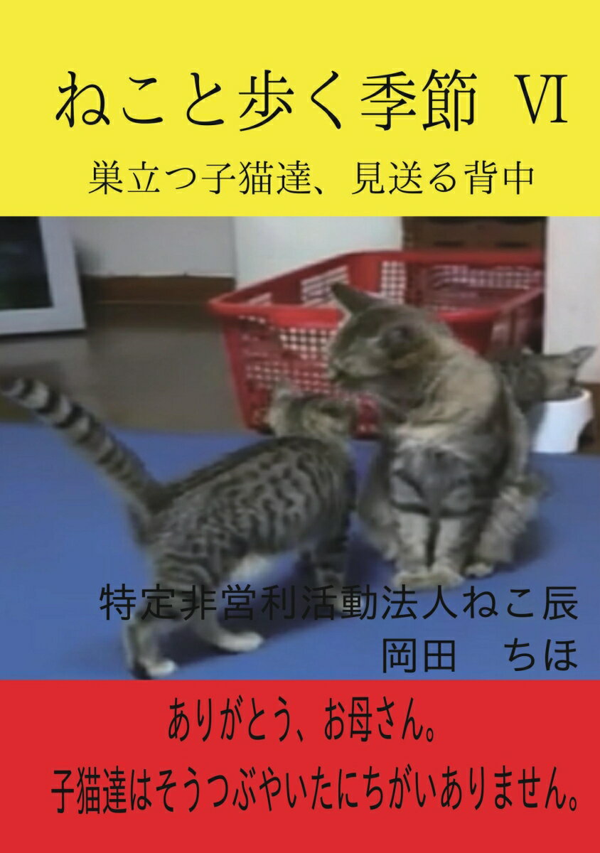 【POD】ねこと歩く季節 6 巣立つ子猫達、見送る背中 [ 特定非営利活動法人ねこ辰　岡田　ちほ ]