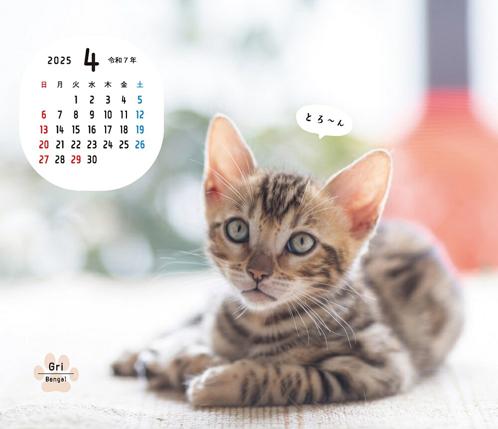 オレンジページ ねこなごみ。卓上カレンダー2025の紹介画像3