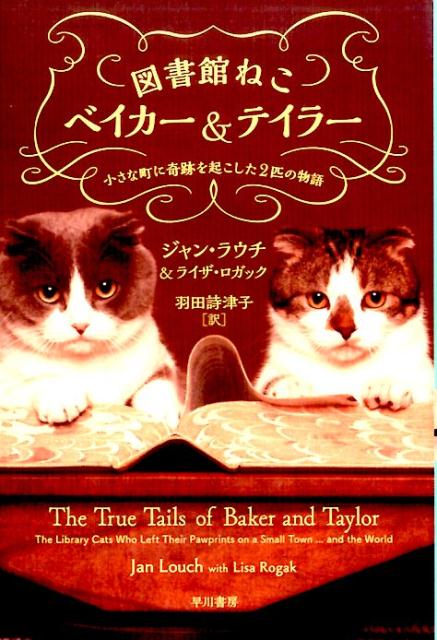 図書館ねこベイカー&テイラー