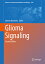 Glioma Signaling GLIOMA SIGNALING 2020/E 2/E Advances in Experimental Medicine and Biology [ Jolanta Barańska ]