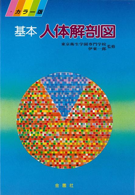 【バーゲン本】基本人体解剖図　カラー版