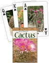 Cactus of the Southwest Playing Cards CACTUS OF THE SOUTHWEST (Nature's Wild Car...