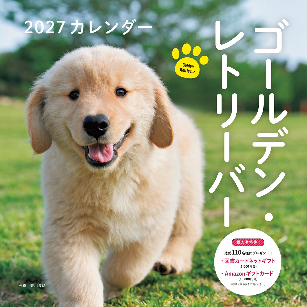 2027年カレンダー ゴールデン・レトリーバー 書影
