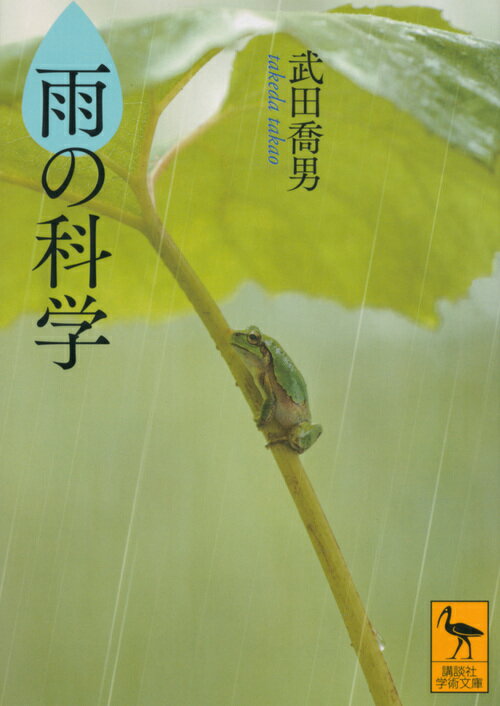 なぜ雨は、滝のようにつながって落ちてこないのか。雨粒はどんな形をしているのか。雲粒と雨粒の境目はどこにあるのか。雨が降りやすい雲と、降りにくい雲の違いとは。近年多発する集中豪雨のメカニズム、温暖化を進める雲の種類、さらに人工降雨の可能性まで、「雲から雨が降る」という、当たり前の現象の仕組みと奥深さを探究する。