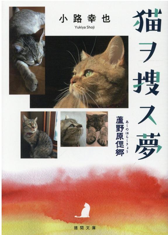 猫ヲ捜ス夢
