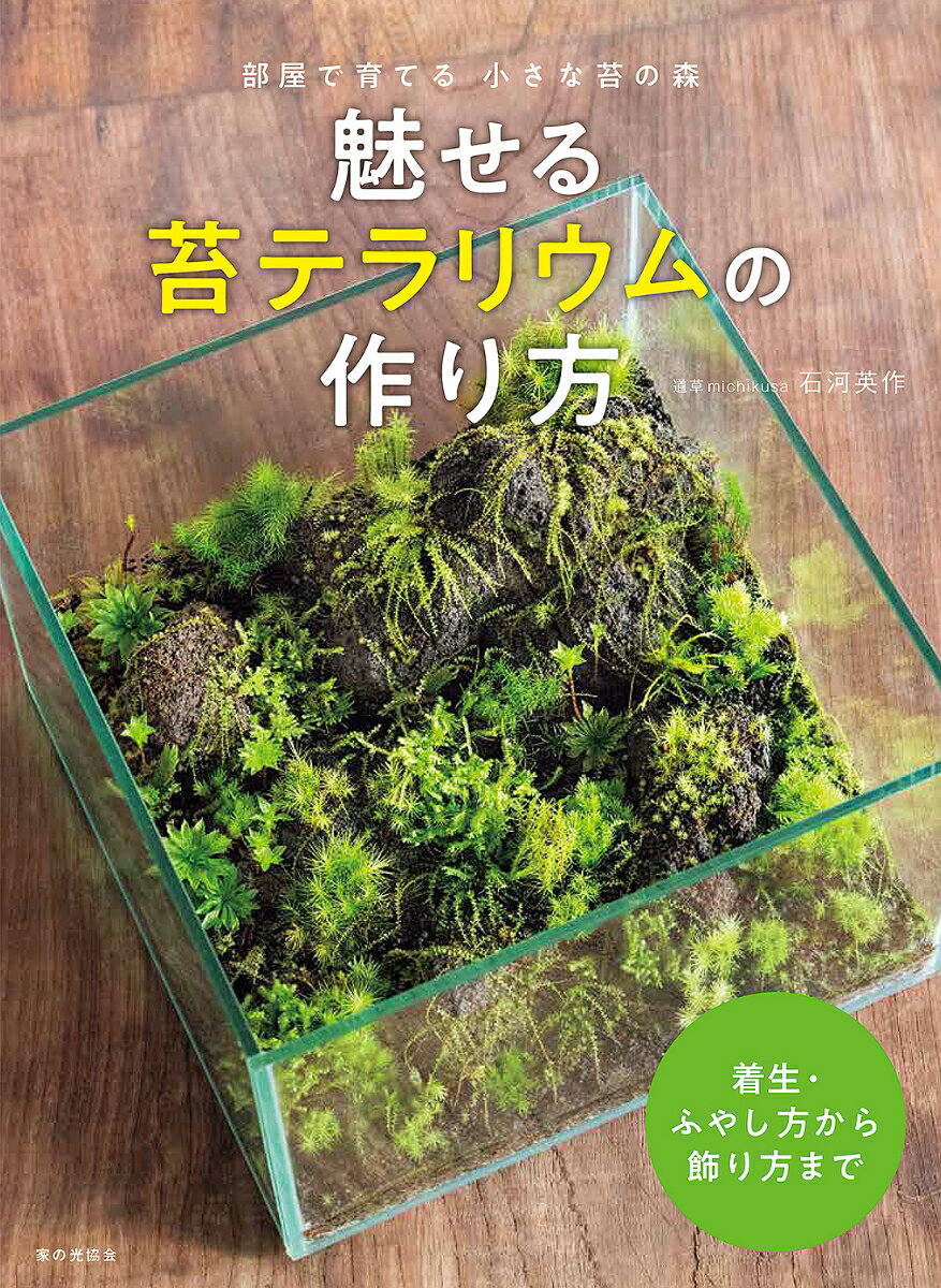 魅せる苔テラリウムの作り方