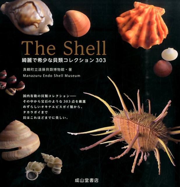 The　Shell 綺麗で希少な貝類コレクション303 [ 