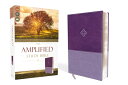 Amplified Study Bible, Imitation Leather, Purple AMP STUDY BIBLE IMIT PURPLE 