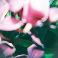 【輸入盤】You Make Everything Disappear