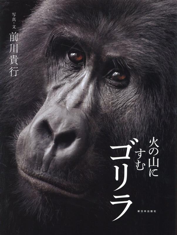 火の山にすむゴリラ