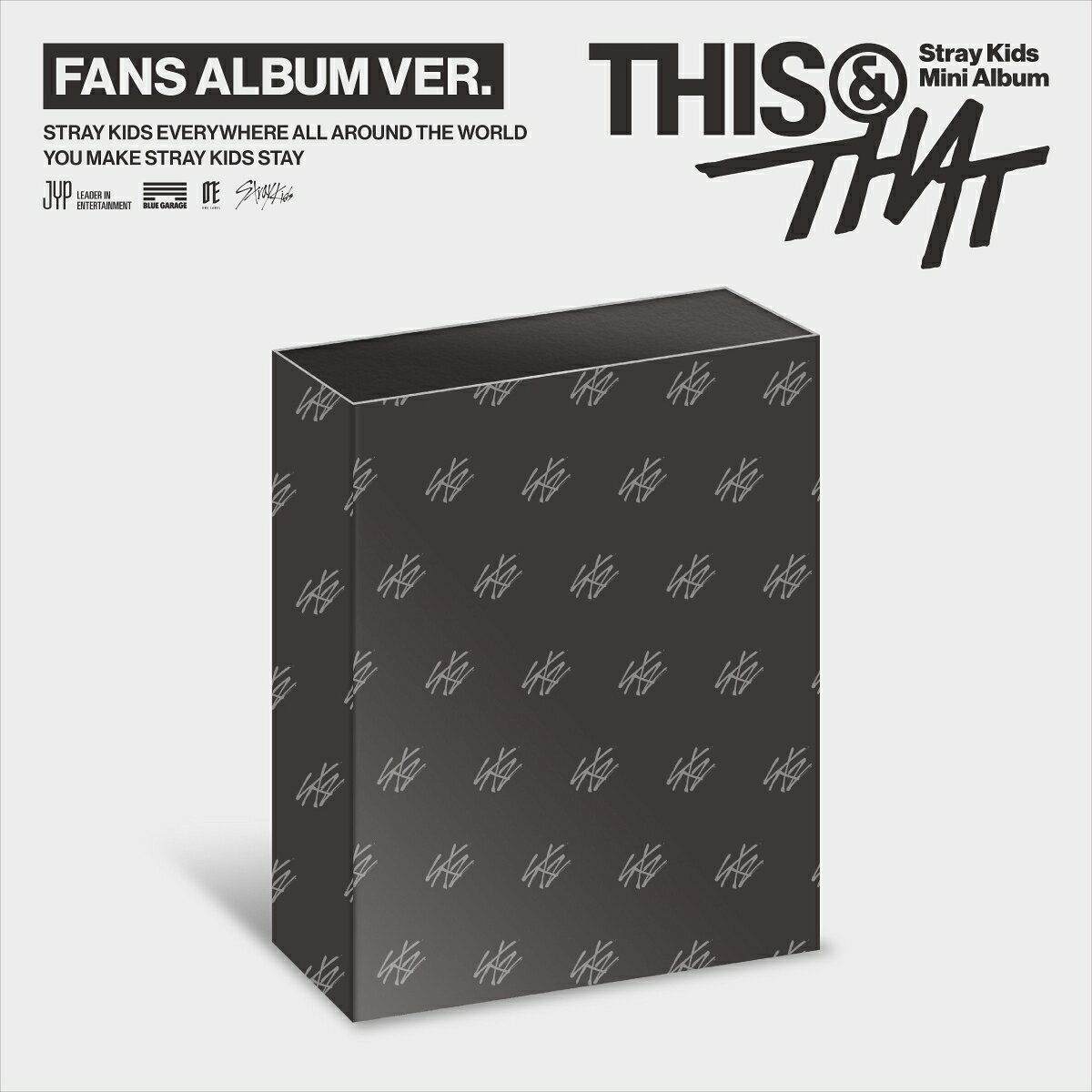 THIS & THAT: Mini Album (FANS ALBUM VER.) ＜完全数量限定生産盤＞ ［ミュージックカード］（KOR） [ Stray Kids ]