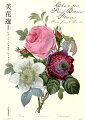 ルドゥーテ晩年の傑作である『美花選』は、１８２７〜３３年にかけて初版本が刊行され、植物のそれぞれの科よりもっとも美しい花々を選んで収録したものです。フランス王からの予約注文も受けた本書は、ルドゥーテのベスト版ともいえる一冊。可憐なブーケやみずみずしいフルーツなども描かれ、装飾的な絵画としての魅力も十分に発揮し、今なお多くの人を魅了し続けています。