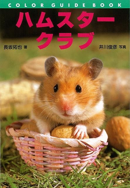 【バーゲン本】ハムスタークラブ