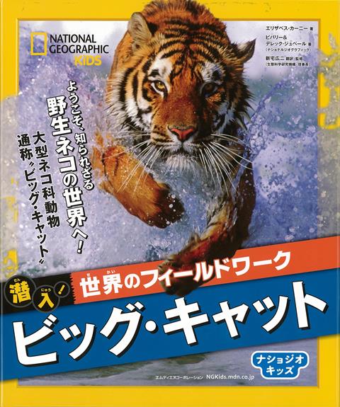 【バーゲン本】ビッグ・キャットー潜入！世界のフィールドワーク