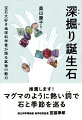 その多様性、鉱物種との関係、数奇な歴史、産地やカット、処理の有無など、６０年ぶりに改定された誕生石の魅力を、より深く知るための幅広い情報をもりこんだ。鉱物研究者だから描ける、それぞれの誕生石の持つ固有の美しさが輝く１冊。