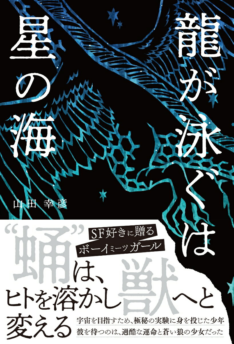 龍が泳ぐは星の海
